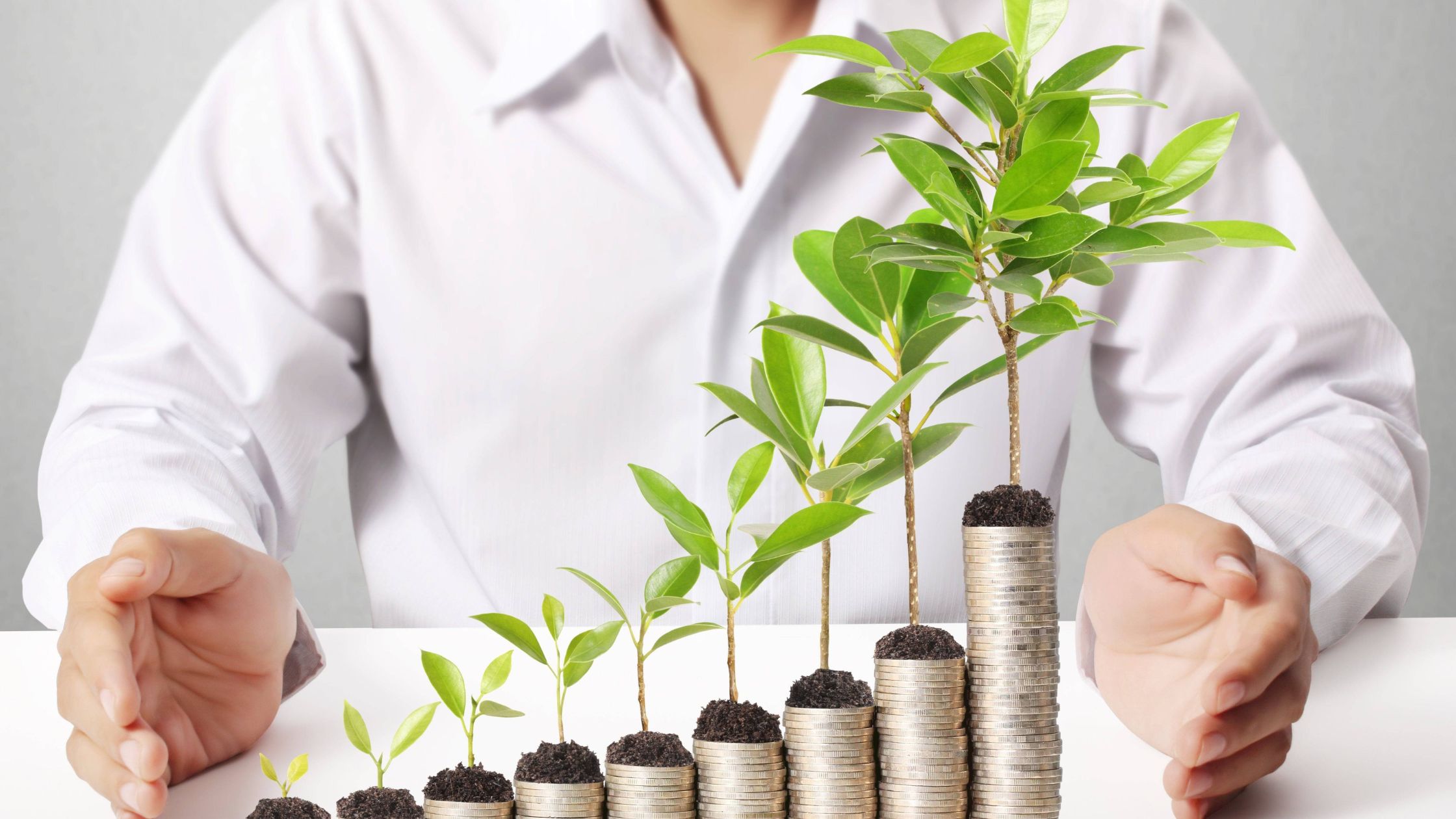 Tarifa indexada vs tarifa fija: ¿cuál le conviene más a tu empresa?